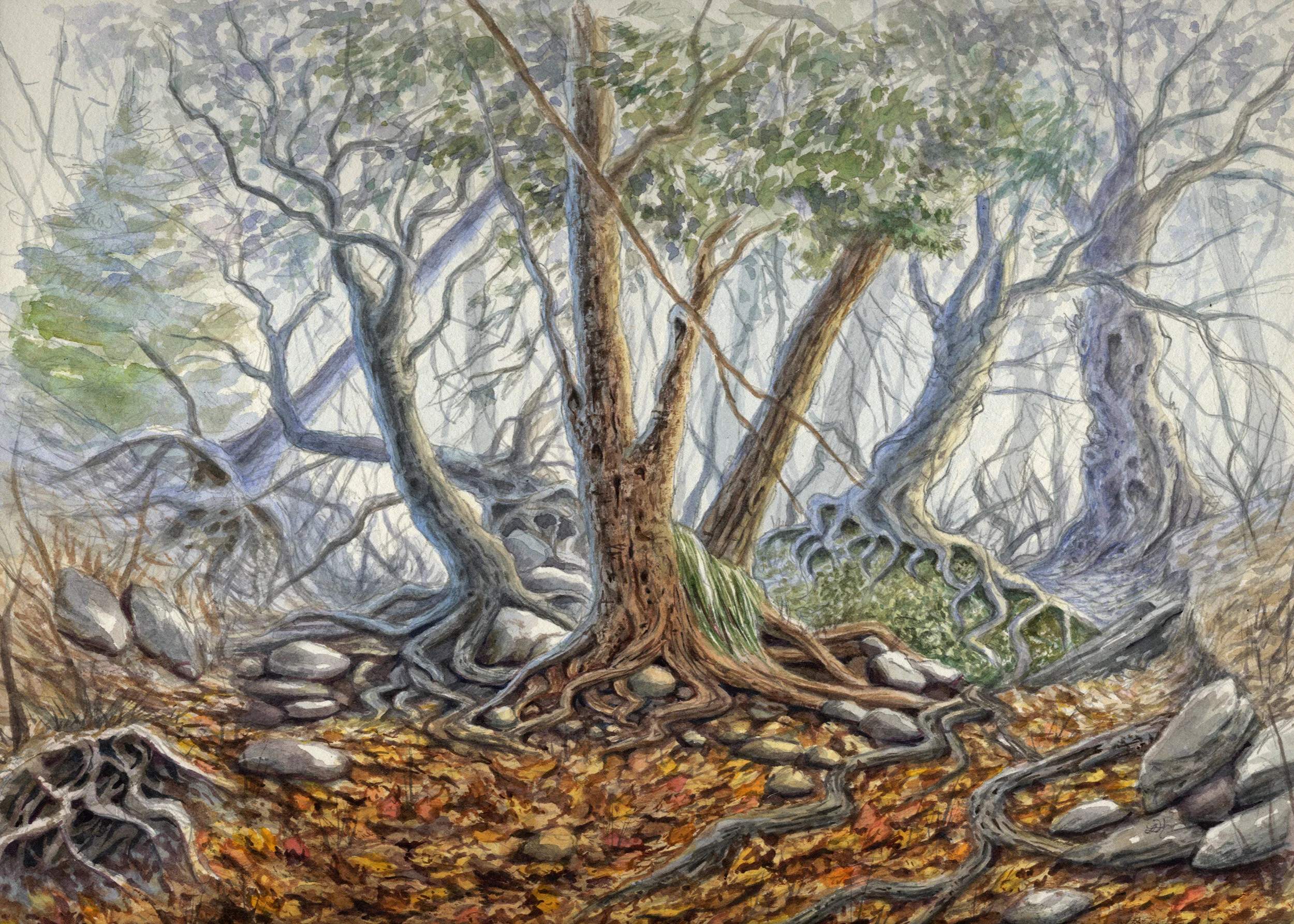 Lisa Hunt News blog art and stories — Lisa Hunt Art